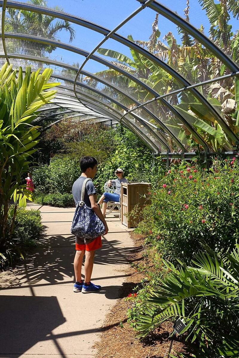 Naples Botanical Garden butterfly house
